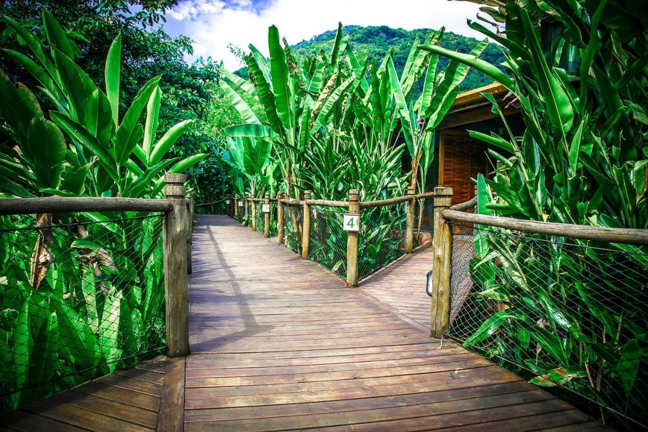 Banana Bamboo Ecolodge Ubatuba Exterior foto